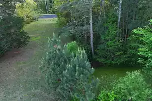 9439 Charleston Hwy, Bowman, SC 29018 - Photo 9