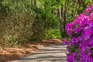 2227 Woodland Shores Rd, Charleston, SC 29412 - Photo 89