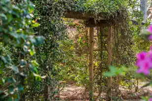 2227 Woodland Shores Rd, Charleston, SC 29412 - Photo 83