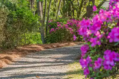 2227 Woodland Shores Road, Charleston, SC 29412 - Photo 5