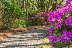 2227 Woodland Shores Rd, Charleston, SC 29412 - Photo 5