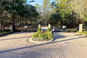 1321 Wood Sorrel Dr, Moncks Corner, SC 29461 - Photo 15