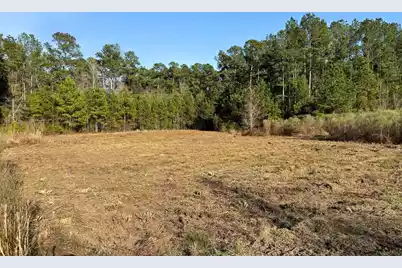 1321 Wood Sorrel Drive, Moncks Corner, SC 29461 - Photo 27