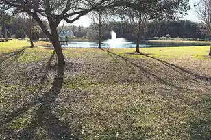 1321 Wood Sorrel Dr, Moncks Corner, SC 29461 - Photo 35