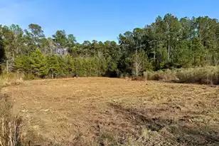 1321 Wood Sorrel Dr, Moncks Corner, SC 29461 - Photo 27