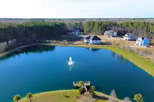 1321 Wood Sorrel Dr, Moncks Corner, SC 29461 - Photo 17