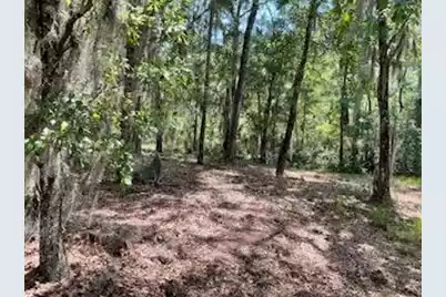 8119 Loafer Glory Lane S, Edisto Island, SC 29438 - Photo 33