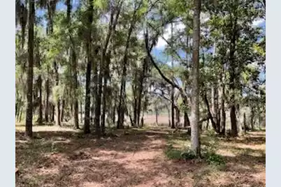 8119 Loafer Glory Lane S, Edisto Island, SC 29438 - Photo 19