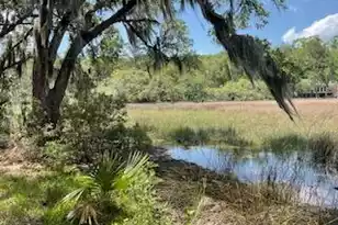 8119 Loafer Glory Ln S, Edisto Island, SC 29438 - Photo 1