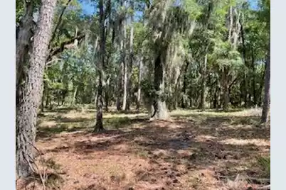 8119 Loafer Glory Lane S, Edisto Island, SC 29438 - Photo 37