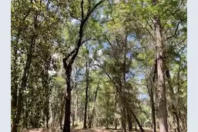 8119 Loafer Glory Lane S, Edisto Island, SC 29438 - Photo 13