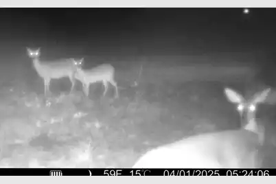 715 Nunuville Road, Walterboro, SC 29488 - Photo 13