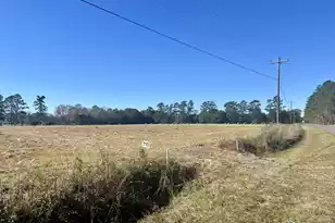 715 Nunuville Rd, Walterboro, SC 29488 - Photo 1