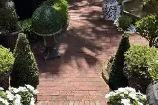 55 Hasell St, Charleston, SC 29401 - Photo 27