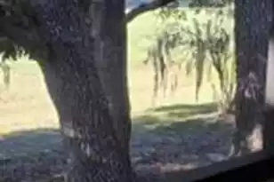 2945 Dove Haven Ct #707, Charleston, SC 29414 - Photo 17