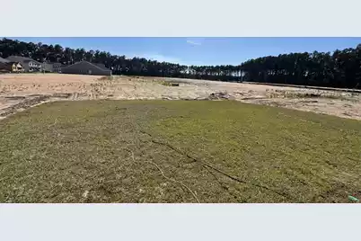 5360 Crinum Lilly Drive, Summerville, SC 29485 - Photo 29