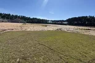5360 Crinum Lilly Dr, Summerville, SC 29485 - Photo 29