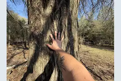 0000 Carolina 3 S, Barnwell, SC 29812 - Photo 23