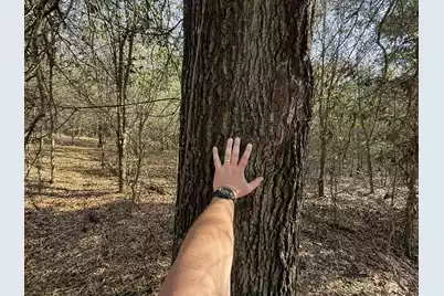 0000 Carolina 3 S, Barnwell, SC 29812 - Photo 35