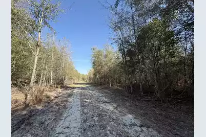 0000 Carolina 3 S, Barnwell, SC 29812 - Photo 9