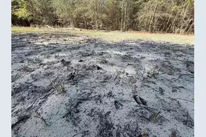 0000 Carolina 3 S, Barnwell, SC 29812 - Photo 3