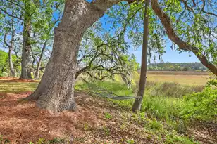 2340 Ashley River Rd, Charleston, SC 29414 - Photo 7