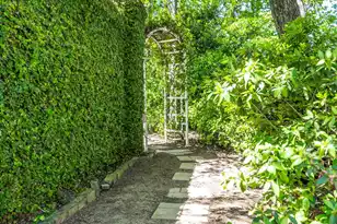 205 Weston Hall Dr, Summerville, SC 29483 - Photo 7