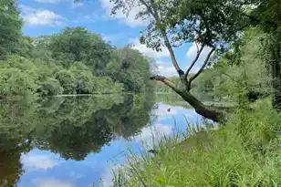 205 Weston Hall Dr, Summerville, SC 29483 - Photo 73