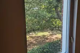 21 Hester St, Charleston, SC 29403 - Photo 25