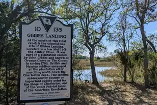 21 Hester Street, Charleston, SC 29403 - Photo 57