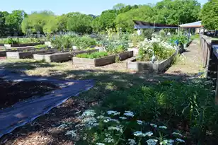 21 Hester St, Charleston, SC 29403 - Photo 51