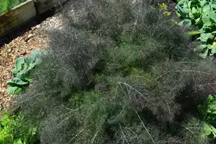 21 Hester Street, Charleston, SC 29403 - Photo 51