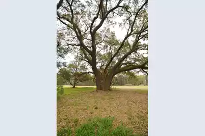 0 Morrisville Road, Andrews, SC 29510 - Photo 5