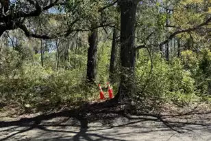 8730 Park Blvd N, North Charleston, SC 29406 - Photo 1