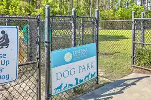 141 Lindera Preserve Blvd, Summerville, SC 29486 - Photo 39