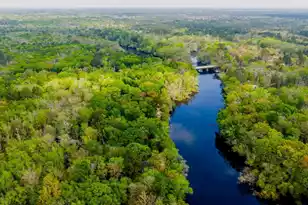 460 Trout Ln, Ridgeville, SC 29472 - Photo 73