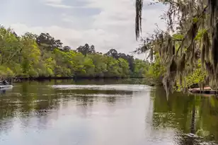 460 Trout Ln, Ridgeville, SC 29472 - Photo 67