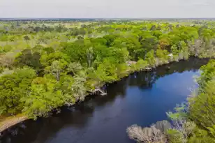 460 Trout Ln, Ridgeville, SC 29472 - Photo 71