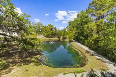 1925 Chatelain Way, Mount Pleasant, SC 29464 - Photo 1