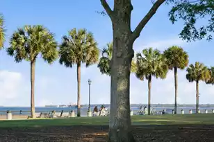 1 Vendue Range #G, Charleston, SC 29401 - Photo 57