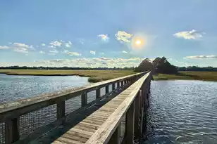 824 Burger St, Charleston, SC 29407 - Photo 7