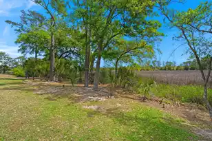 808 Forrest Dr, Charleston, SC 29492 - Photo 49