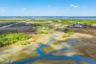 808 Forrest Dr, Charleston, SC 29492 - Photo 55