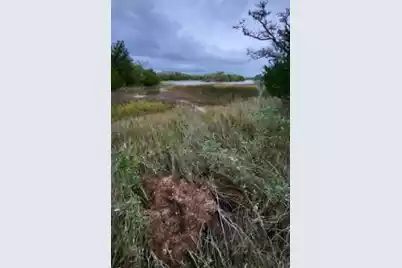 44 Hammocks Way, Edisto Island, SC 29438 - Photo 13