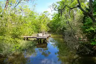 3195 Old Pond Rd, Johns Island, SC 29455 - Photo 25