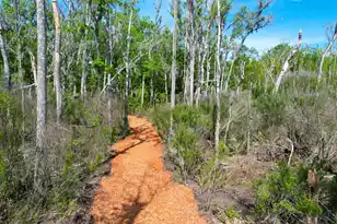3195 Old Pond Rd, Johns Island, SC 29455 - Photo 29