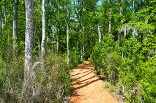 3195 Old Pond Rd, Johns Island, SC 29455 - Photo 31