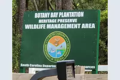 1068 Sarah Battle Lane, Edisto Island, SC 29438 - Photo 5