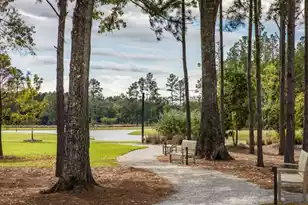 1037 Adirondack Dr, Summerville, SC 29485 - Photo 13