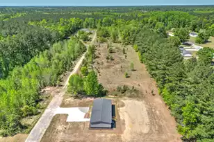 123 Firefly Ln, Orangeburg, SC 29118 - Photo 3